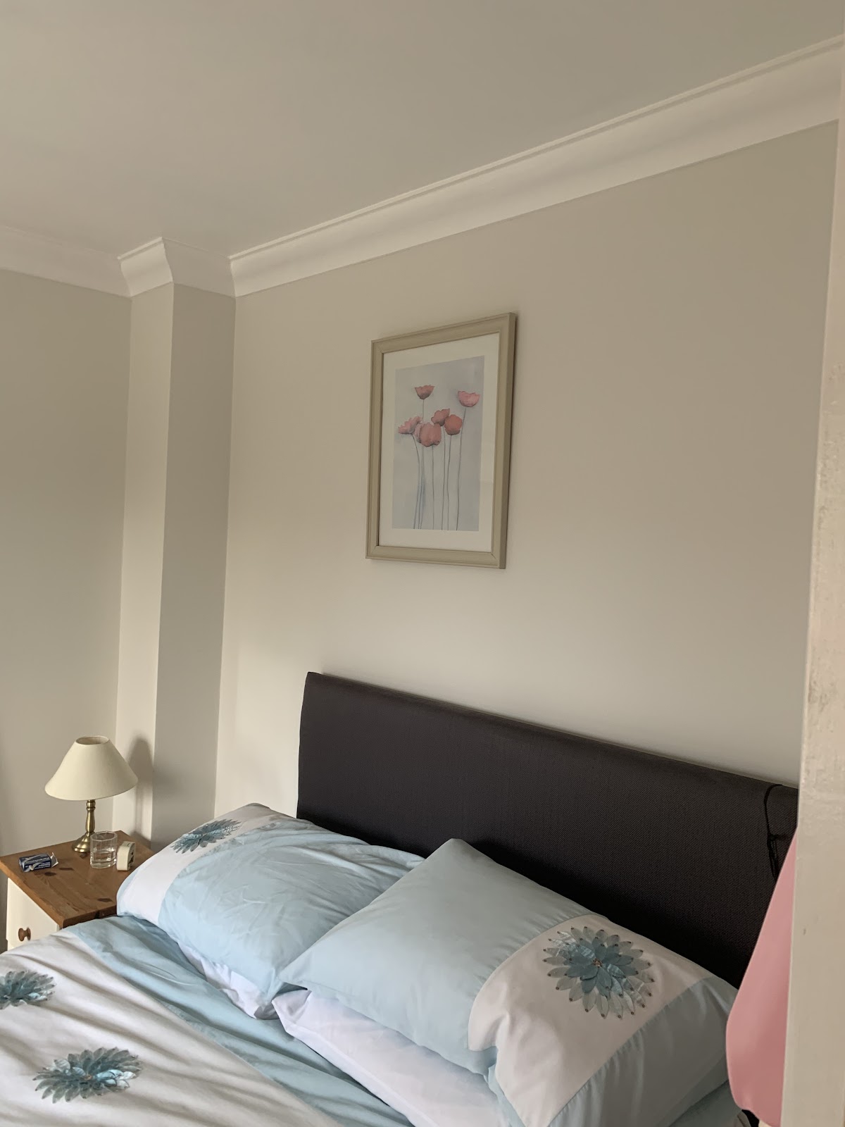 Alexander’s Painters&Decorators work photo 1